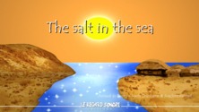 The salt in the sea