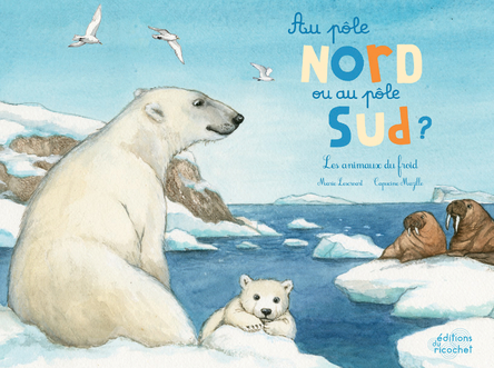 Au pôle nord ou au pôle sud ?