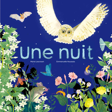 Une nuit