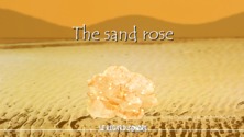 The sand rose