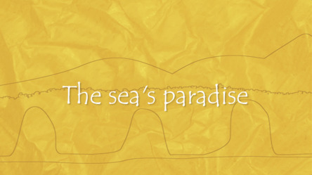 The sea's paradise