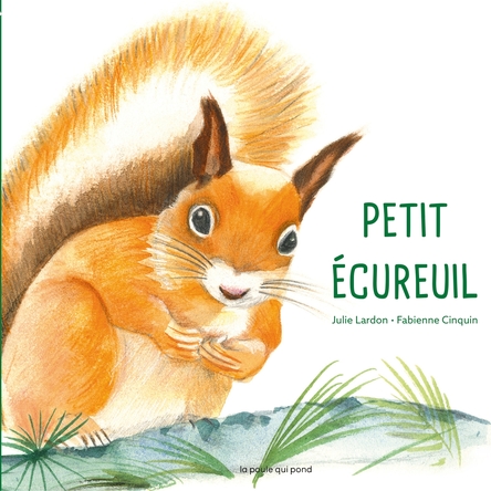 Petit écureuil