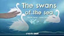 The swans of the sea