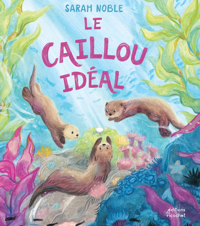 Le caillou idéal