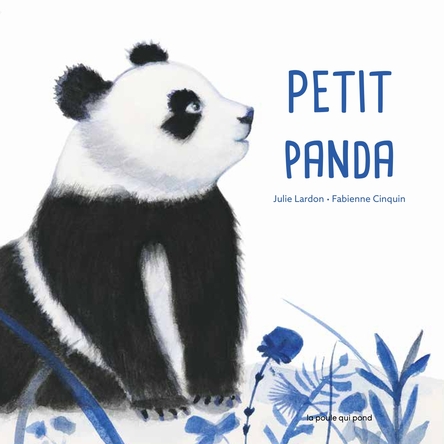 Visuel de Petit panda