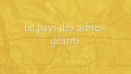 Le pays des arbres géants