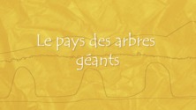 Le pays des arbres géants