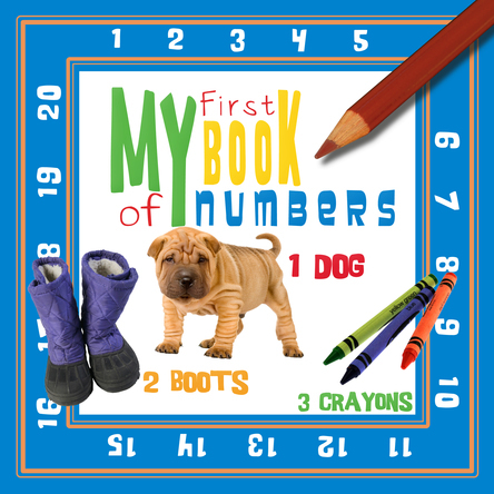 My First Book of Numbers