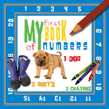 My First Book of Numbers
