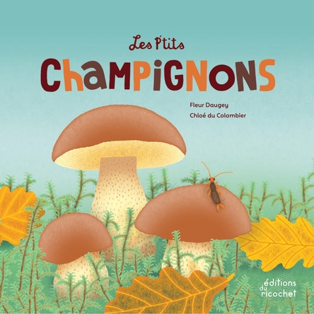 Les p'tits champignons