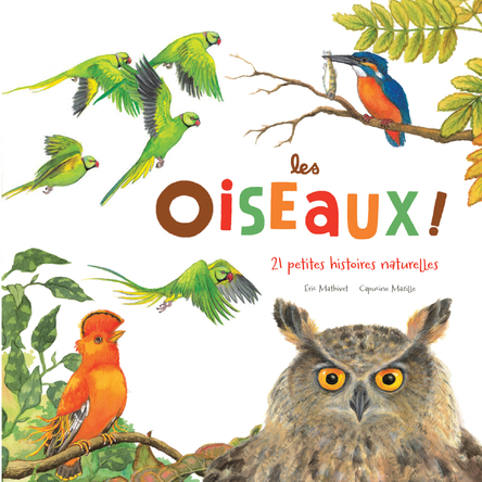 Les oiseaux | Éric Mathivet