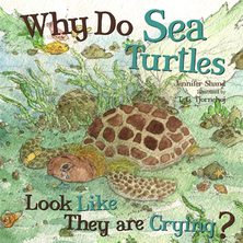 Why Do Sea Turtles Look Like They Are Crying ?