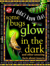 I Didn't know That Some Bugs Glow in the Dark