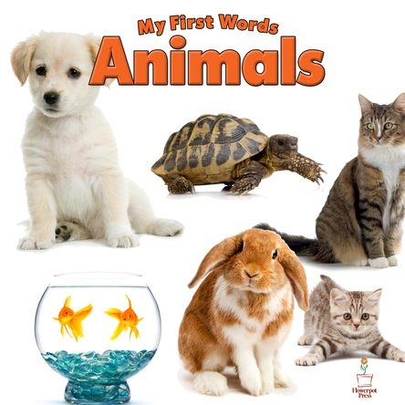 My First Words Animals
