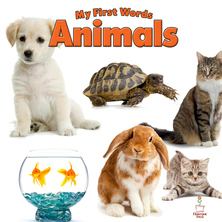 My First Words Animals