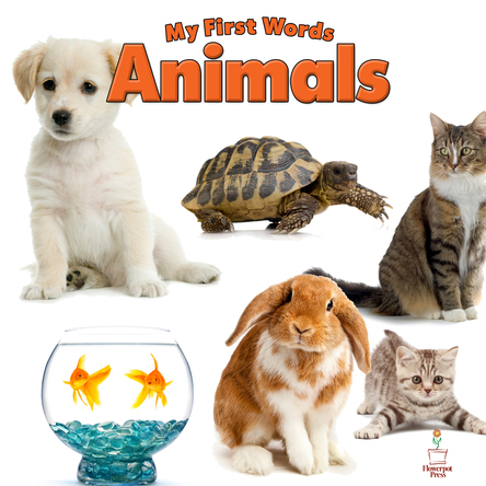 My First Words Animals | Flowerpot Children's Press