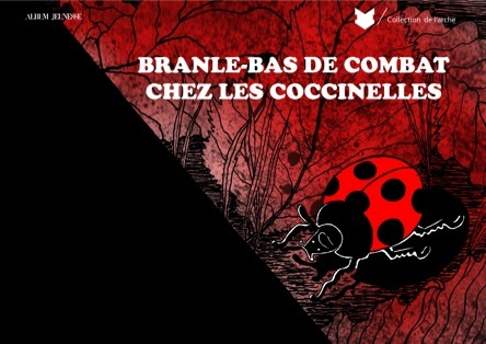 Branle-bas de combat chez les coccinelles