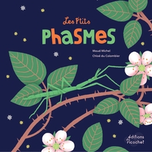 Les p'tits phasmes
