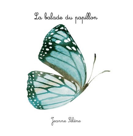Visuel de La balade du papillon