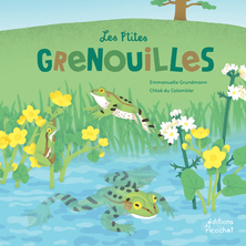 Les  p'tites grenouilles