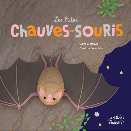Les p'tites chauves-souris