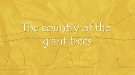 The country of the giant trees