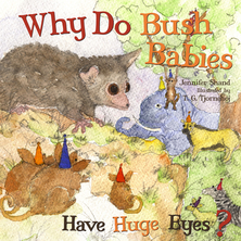 Why Do Bush Babies Have Huge Eyes ?