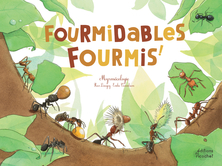 Fourmidables fourmis ! La myrmécologie
