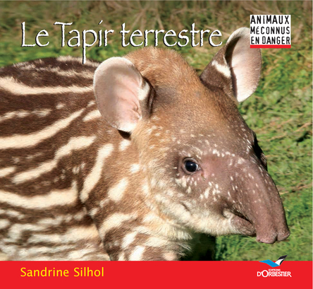 Le tapir terrestre | Sandrine Silhol