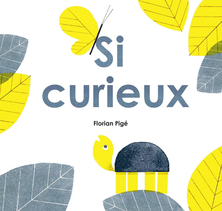 Si curieux