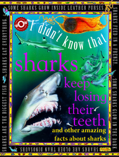 I Didn't Know That Sharks Keep losing Their Teeth
