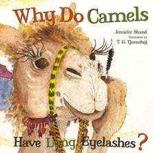 Why Do Camels Have Long Eyelashes ? | Jennifer Shand