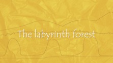 The labyrinth forest