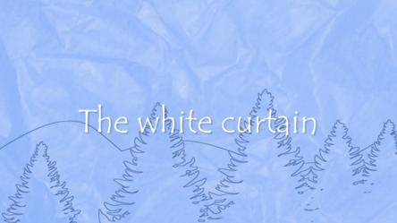 The white curtain