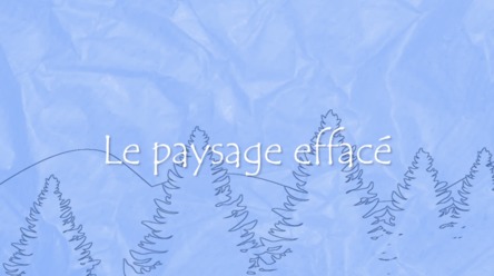 Le paysage effacé