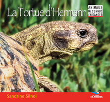 La Tortue d'Hermann