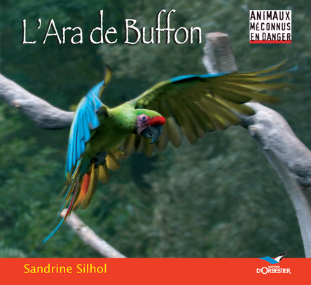 L'Ara de Buffon | Sandrine Silhol