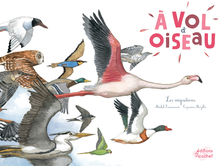 À vol d'oiseau