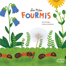 Les  P'tites fourmis